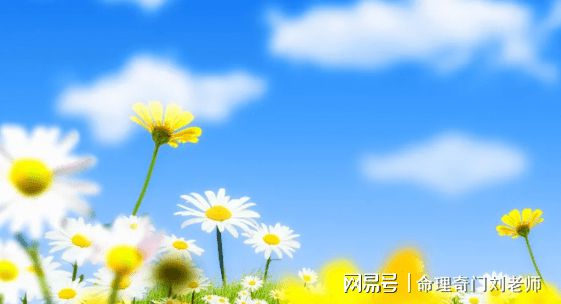 八字丙午日是桃花运吗