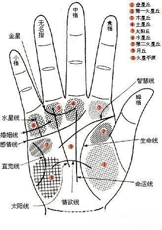 如何从女人手相算命富贵祸福