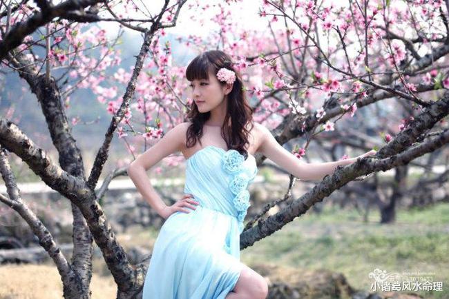 十二生肖2016年1月桃花运势