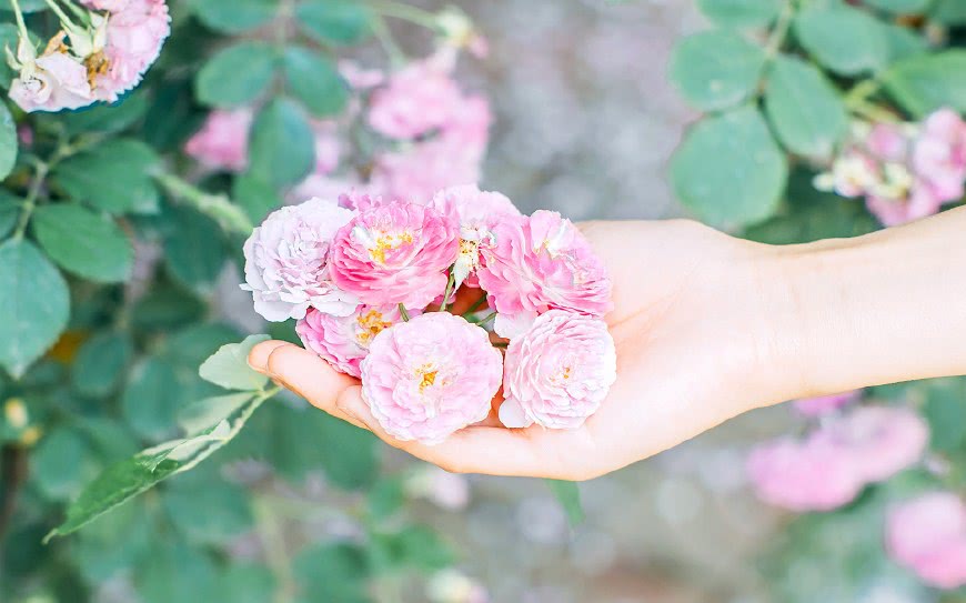 桃花运势暴涨