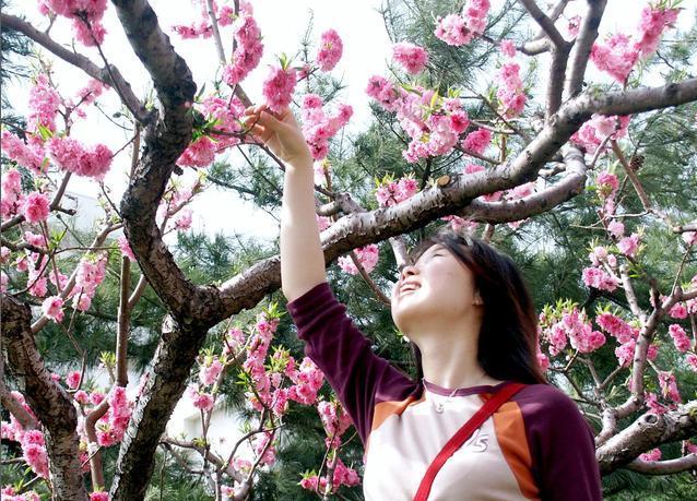 中国算命桃花运句子