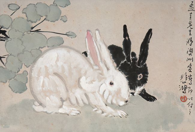 兔今年桃花运势如何