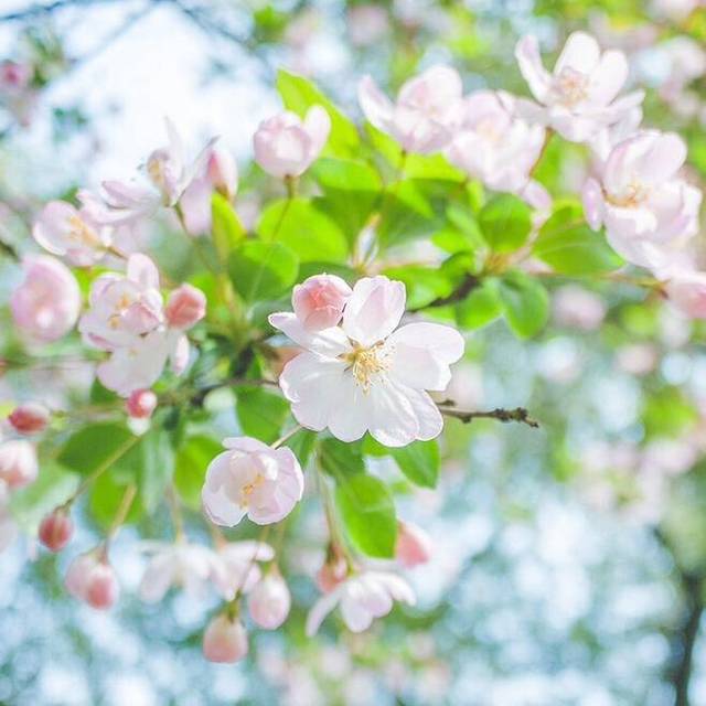 怎么用八字看桃花运