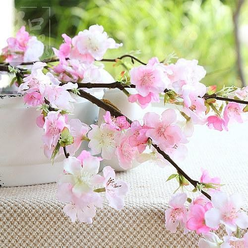 缘分桃花运势很一般的简单介绍