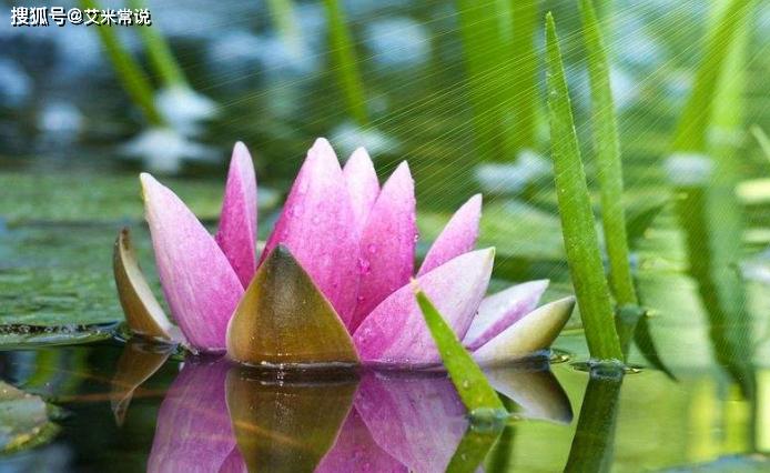 桃花运势大翻盘
