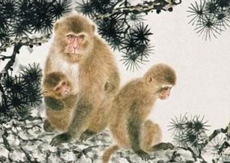 属猴人2021年桃花运势