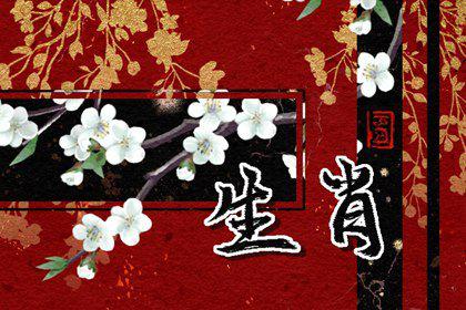 十二生肖2016年1月桃花运势