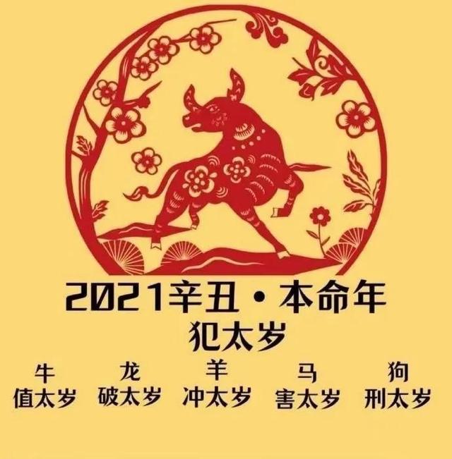 生肖牛2021年桃花运势情况