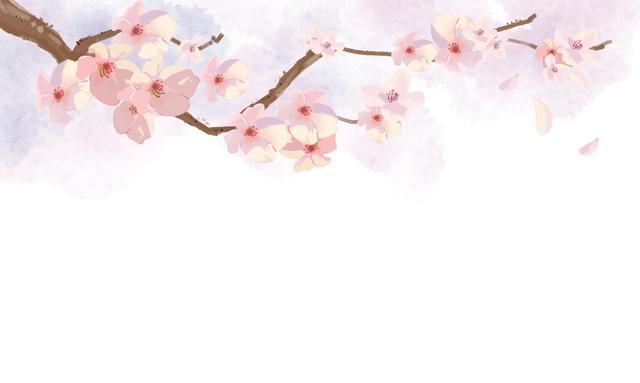 算命四十一岁男桃花运