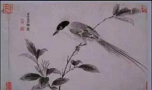 不能富贵非因命运缘懒