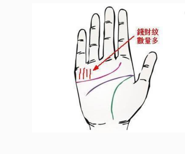 女人手掌看命运的富贵