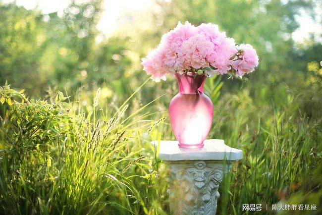水瓶座女生的桃花运势