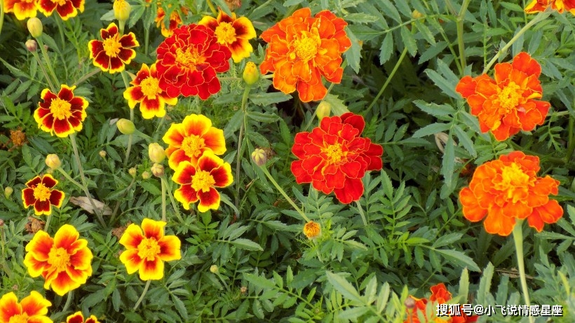 2022年2月桃花运势上涨