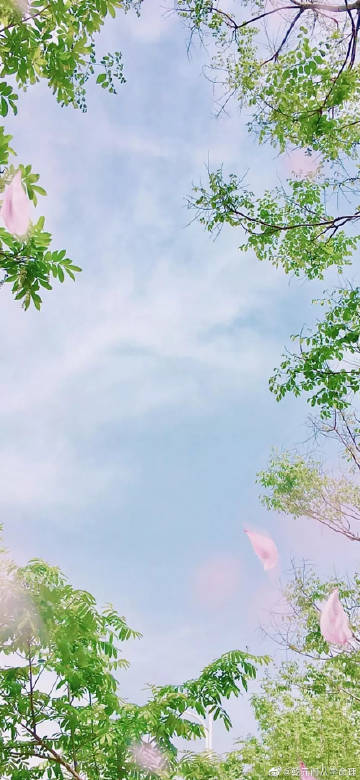 女性丑戌未三刑富贵八字