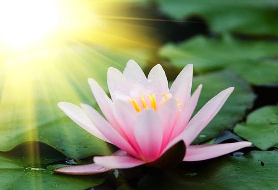 桃花运势猛涨