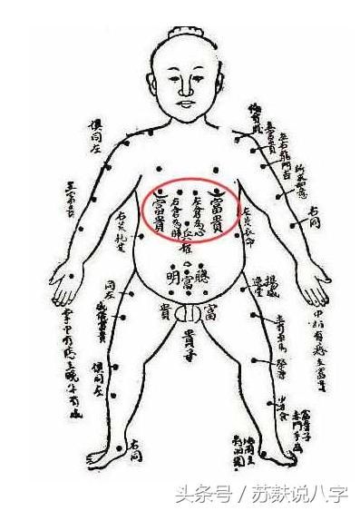 八字中富贵看哪一柱