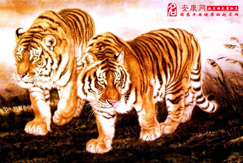 属虎人2012年桃花运势