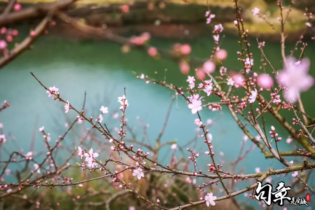 8月桃花运势上涨