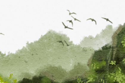 富贵八字条件