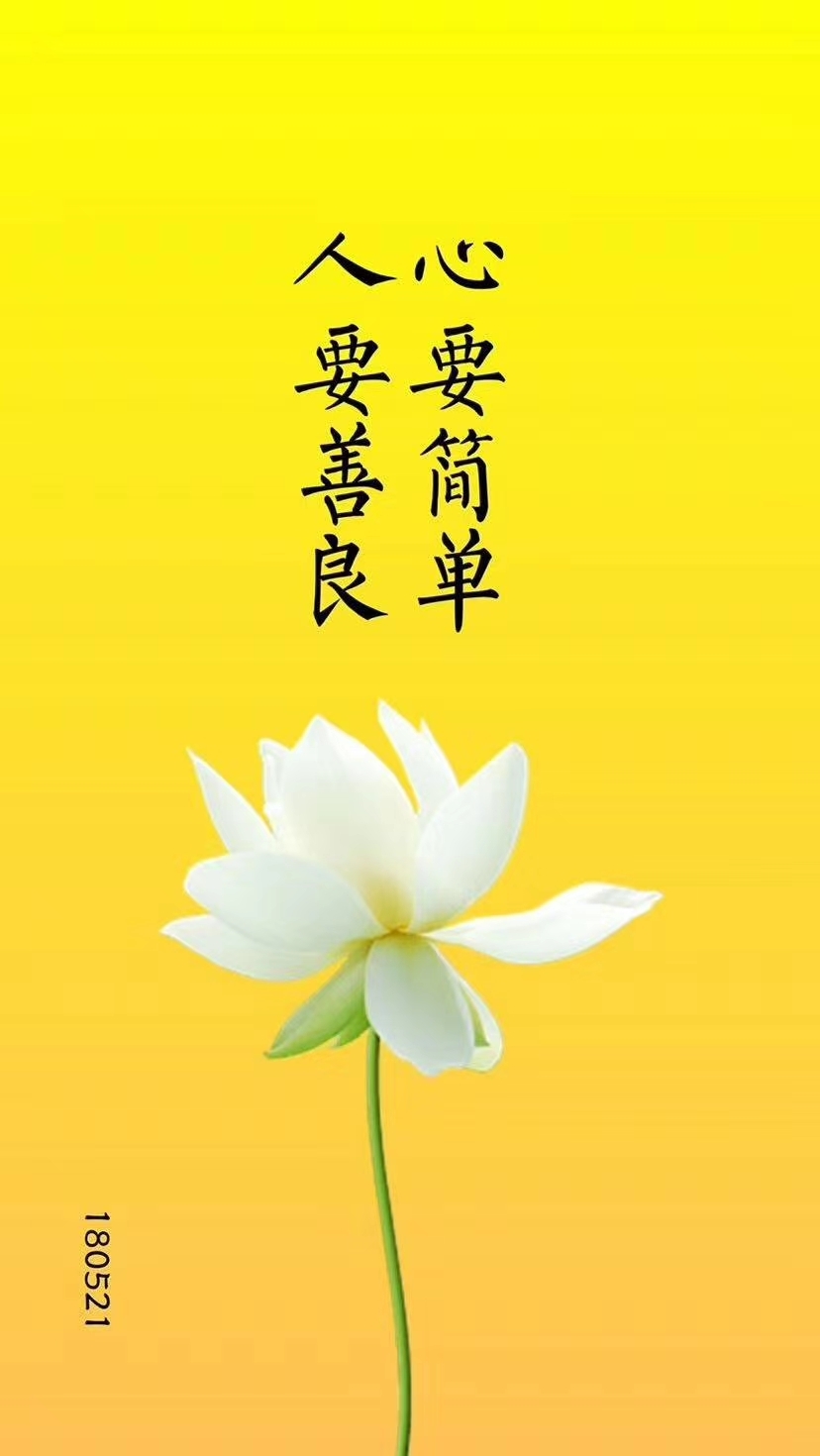 搞外遇运势