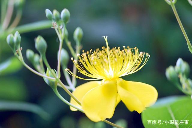 2022年5月桃花运运最好的运势