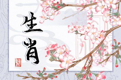 八字不合富贵命打一生肖