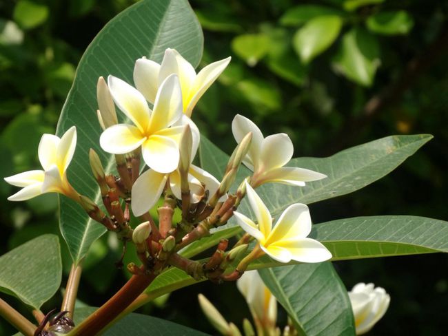 8月桃花运势上涨