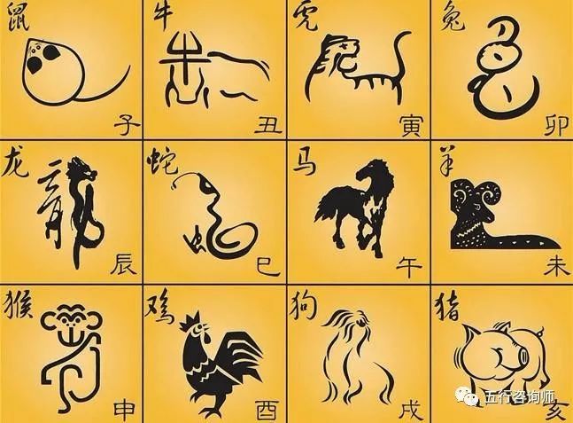 天生八字好富贵指什么生肖号码