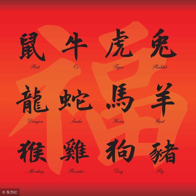 己亥年出生富贵八字