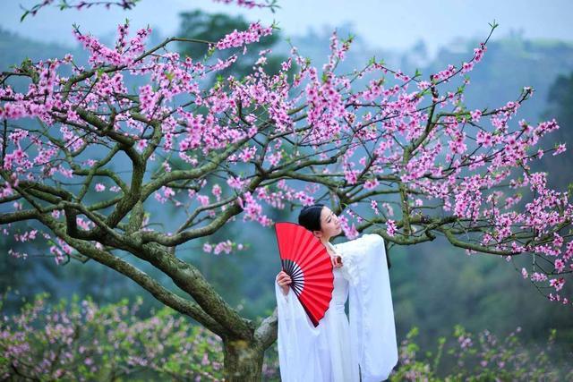 是什么阻碍了你的桃花运势