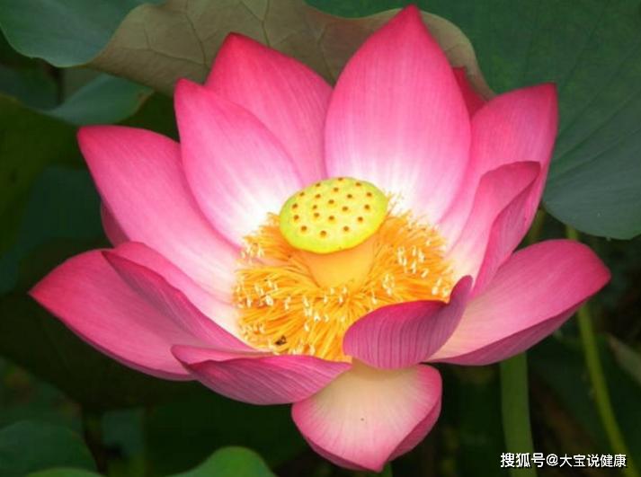 人的命运富贵注定