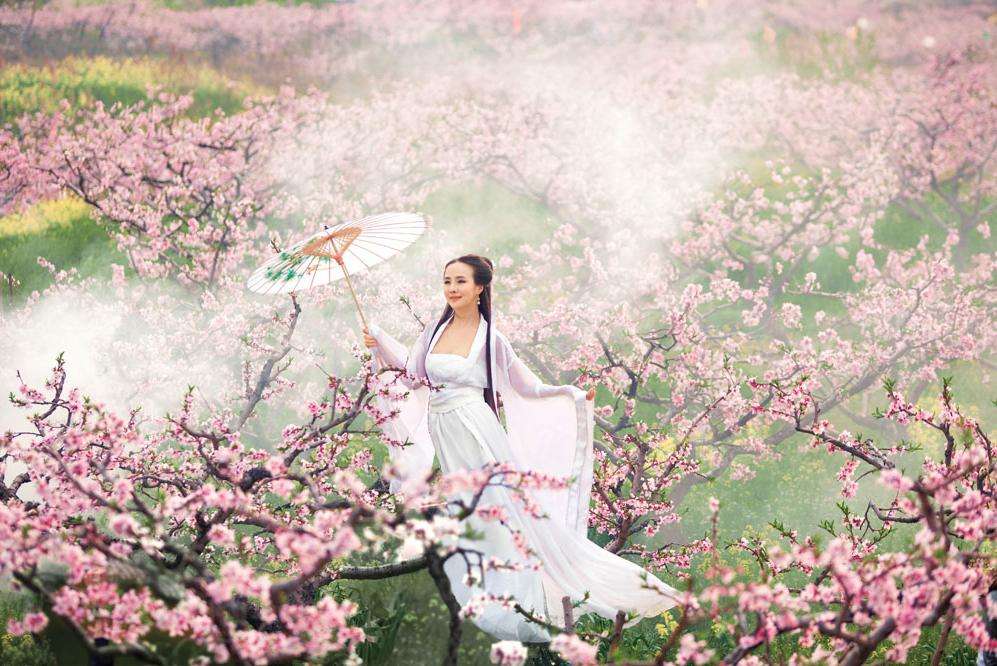女的八字遇到什么是桃花运