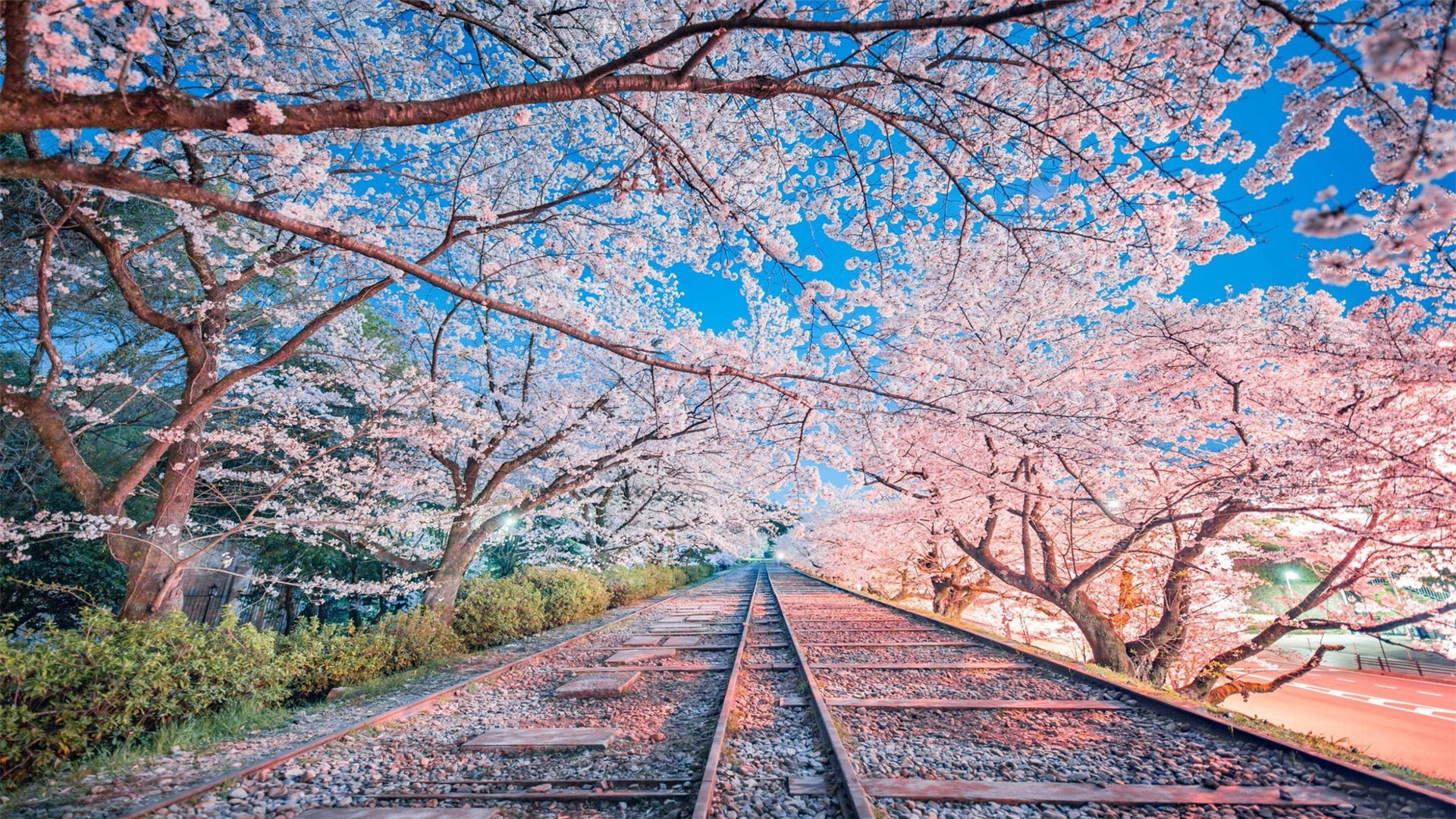 摩羯十月桃花运势