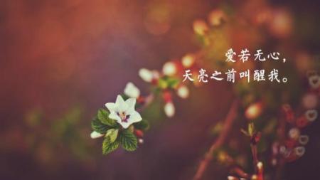 2022庚子年桃花运旺的八字