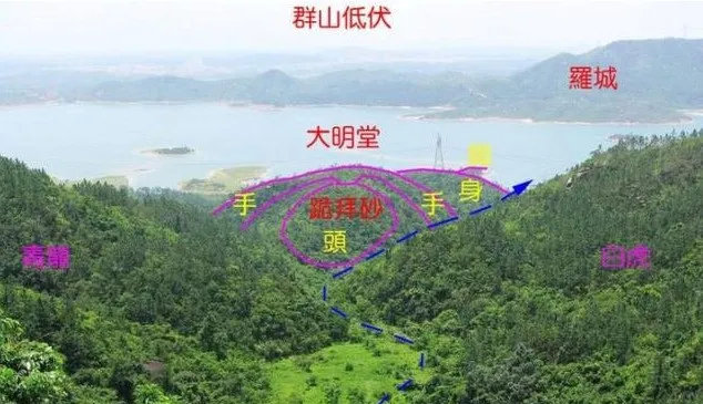 八字不合富贵命打一肖