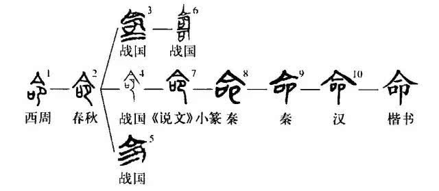 算命生死由命富贵在天