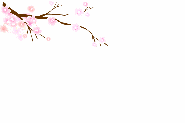 本月桃花运势爆棚
