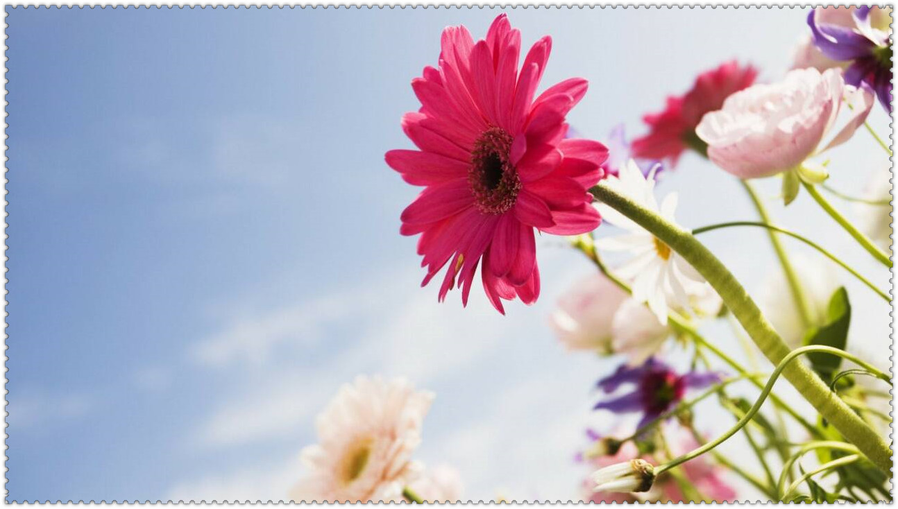 春节桃花运势极佳