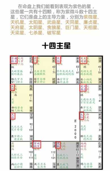 紫薇算桃花运势