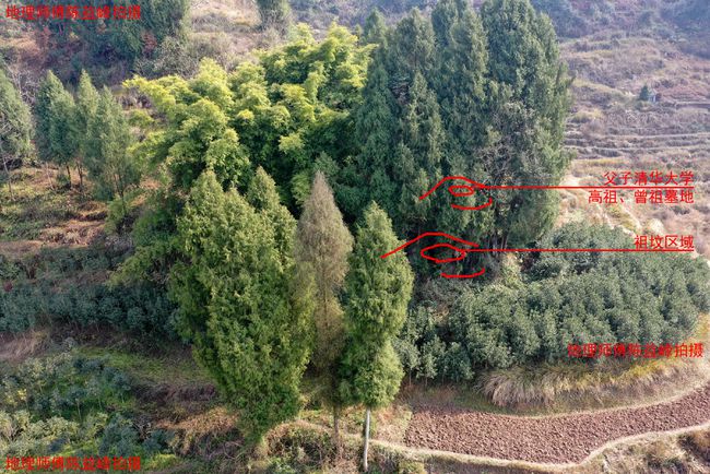 大富贵坟地风水顺口溜子孙后代运势布局解密