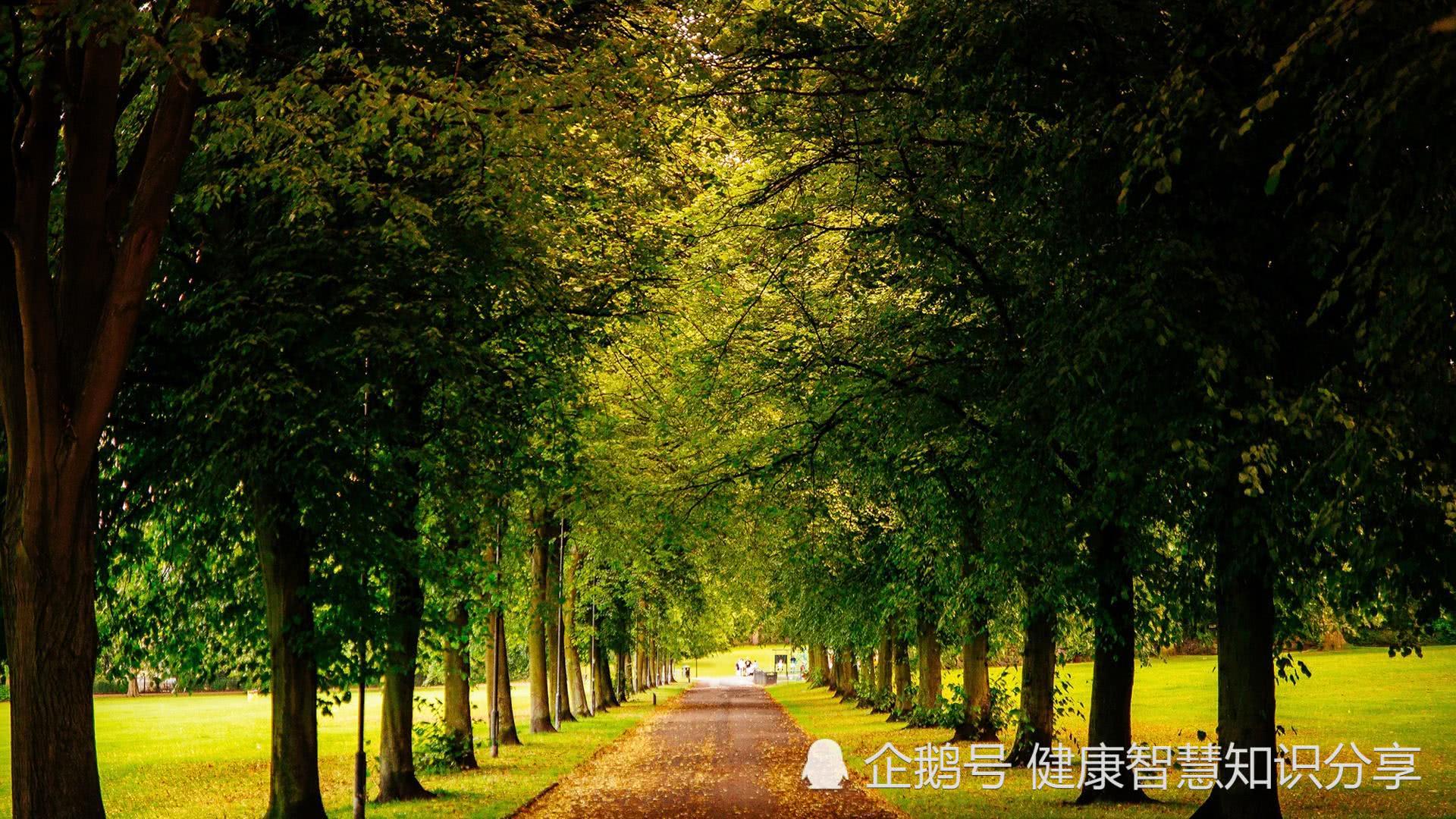 运势如虹迎富贵