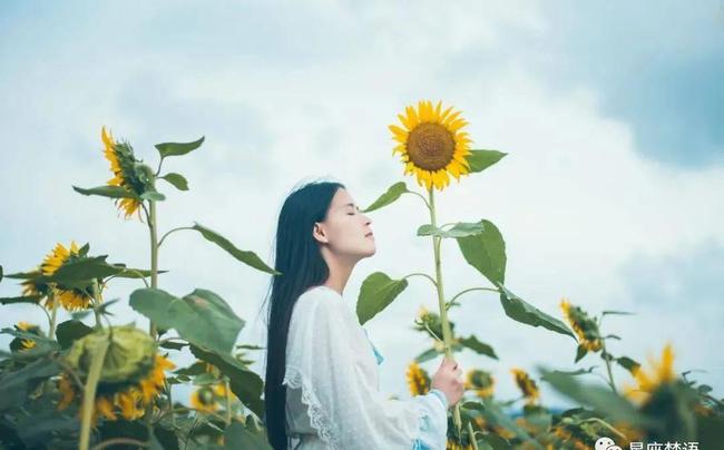 4大生肖桃花运势极佳