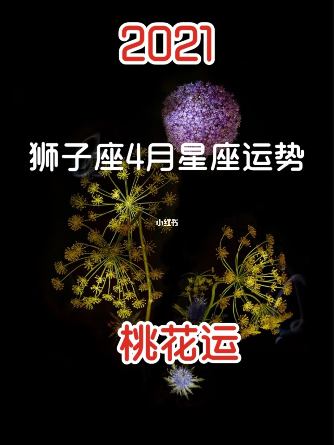 狮子座2021年桃花运势