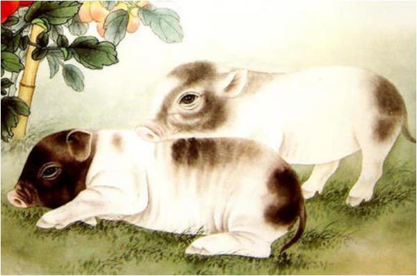 71男猪桃花运势