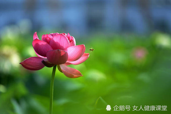 8月富贵运势