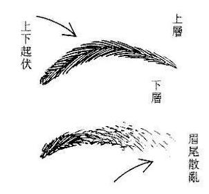 男人富贵额头面相算命图解