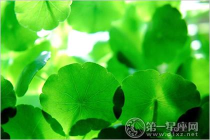 十二星座2013年9月桃花运势