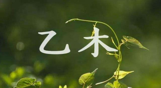 八字看出身家庭之富贵高低