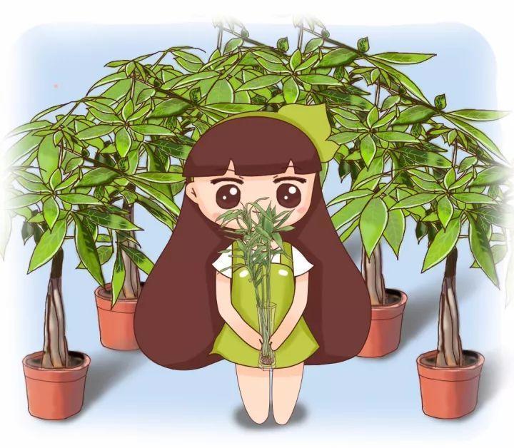 周公解梦梦见别人送我一盆富贵竹