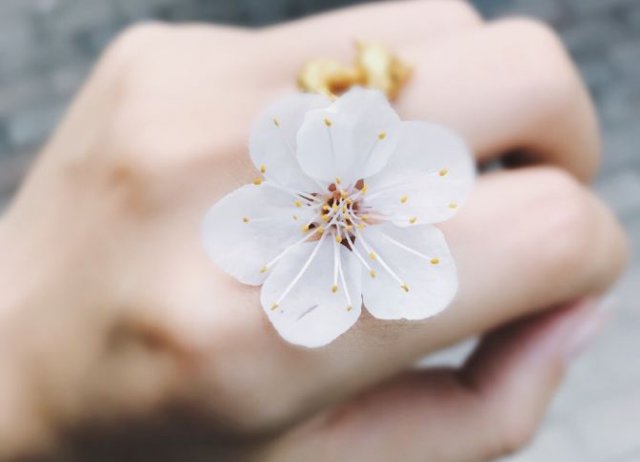 桃花运和婚姻运势有牵连吗